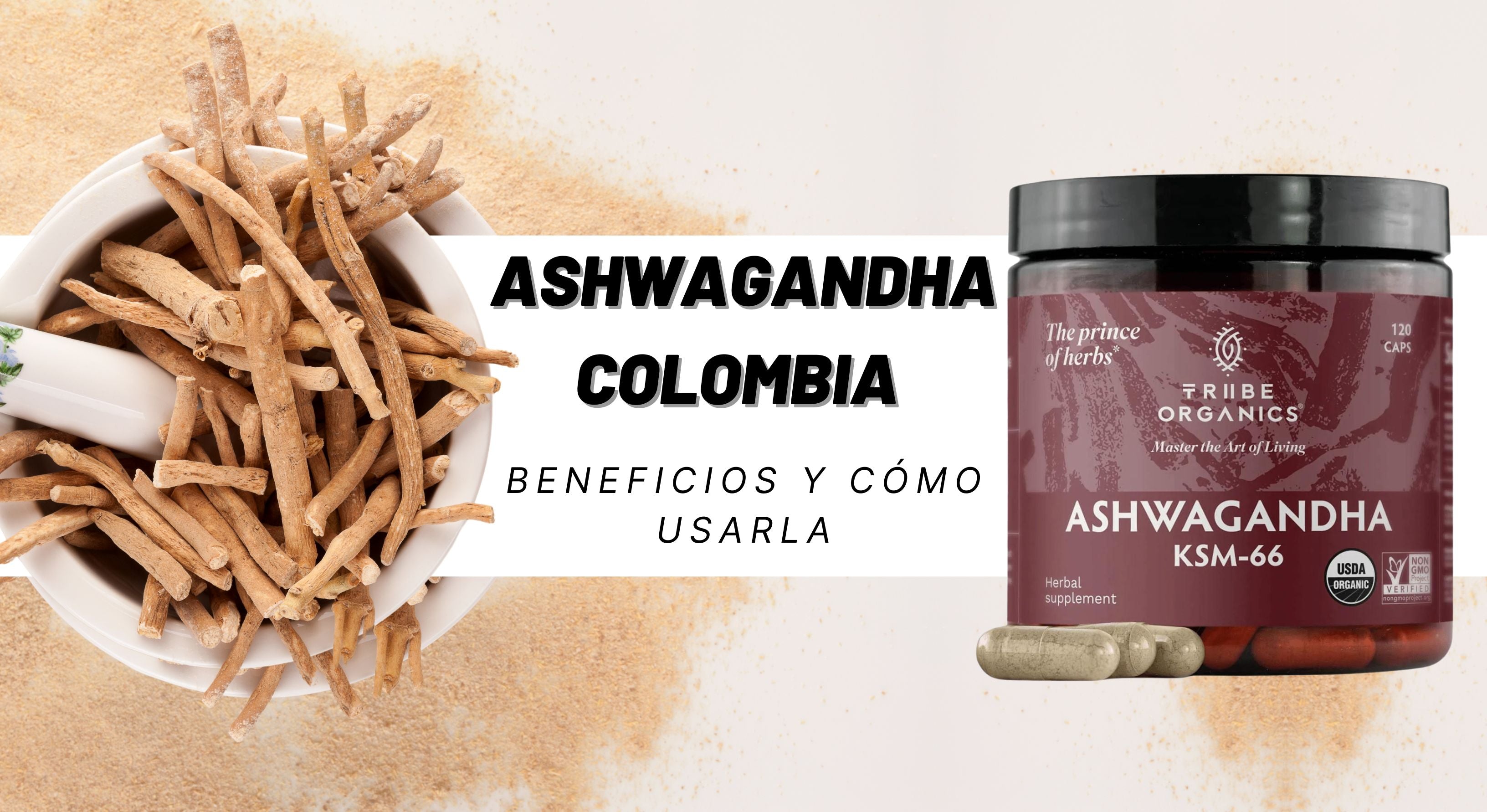 Ashwagandha Colombia: Beneficios y Cómo Usarla | Puro Estado Fisico