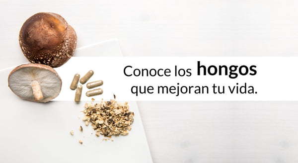 Beneficios de los hongos