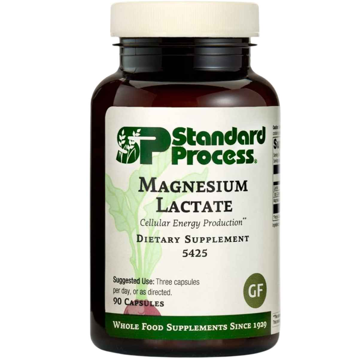 Standard Process Lactato de Magnesio - 90 Cápsulas - Puro Estado Físico